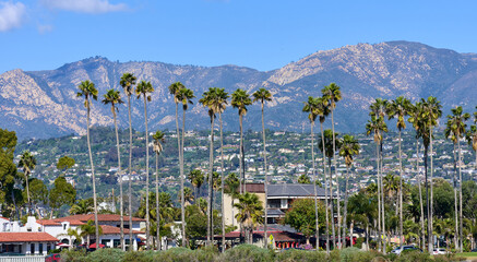 Palm Trees along East Cabrillo Blvd at the beach in Santa Barbara, CA