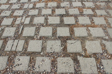 brick pavement