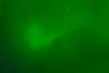 Abstract green gradient mesh background Ideal as wallpaper,banner,sale brochure design etc., 