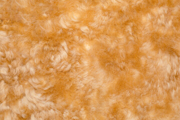 Cowhide fur soft, puffy textures  on brown yellow background.