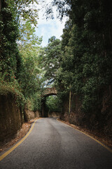Shot of moody winding road with a stone arc. It is surrounded by trees and vegetation.