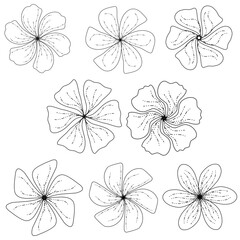 Obraz premium Flowers Lineart
