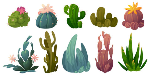 Set of cactus, desert cacti flowers vector set