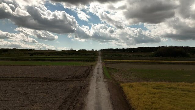 Narrow dirt road through dry unplanted fields under dark clouds