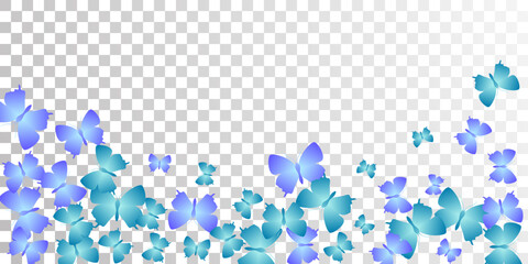 Tropical blue butterflies isolated vector wallpaper. Summer vivid insects. Decorative butterflies isolated baby illustration. Sensitive wings moths patten. Nature creatures.