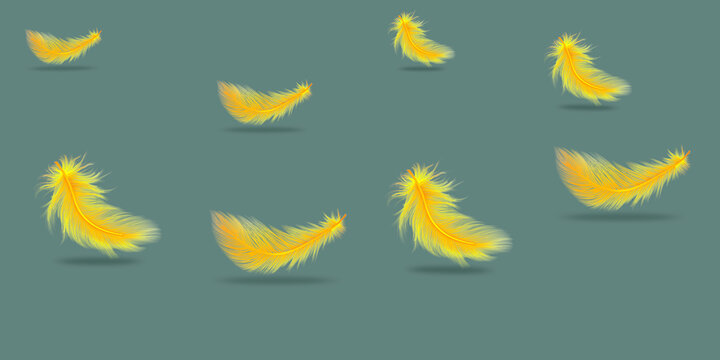Yellow Feathers 3d Illustration .