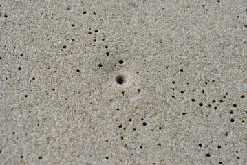 Large boot prints next to small foot prints walking together in the sand