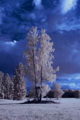 infrared photography - ir photo of landscape under sky with clouds - the art of our world in the infrared spectrum