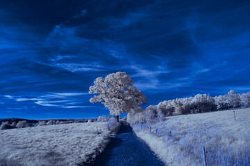 infrared photography - ir photo of landscape under sky with clouds - the art of our world in the...
