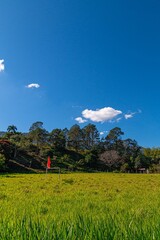 cielo despejado en las monta&ntilde;as 