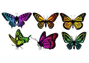 Obraz na płótnie Canvas set of butterflies
