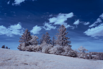 infrared photography - ir photo of landscape under sky with clouds - the art of our world in the...