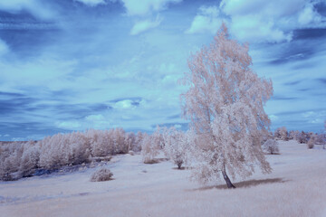 infrared photography - ir photo of landscape under sky with clouds - the art of our world in the...