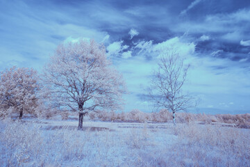 Fototapeta na wymiar infrared photography - ir photo of landscape under sky with clouds - the art of our world in the infrared spectrum