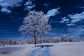 infrared photography - ir photo of landscape under sky with clouds - the art of our world in the infrared spectrum