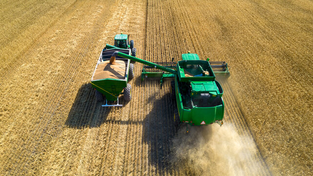 Aerial view of combine harvester unloading grain in cargo trailer working during harvesting season on large ripe wheat field in Argentina.