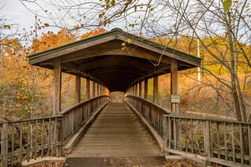 a walk in fall in north carolina