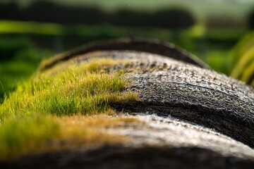 hay bales on a farm to be fed to cows in spring