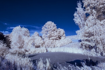 infrared photography - ir photo of landscape under sky with clouds - the art of our world in the...