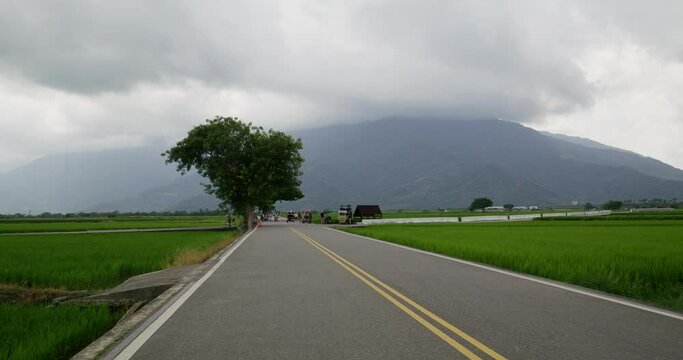 Taiwan Taitung chishang paddy rice field