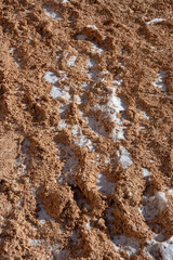 Snow Collects In Frozen Muddy Footsteps