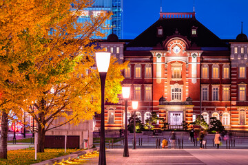 東京駅　銀杏並木とイルミネーションの夜景