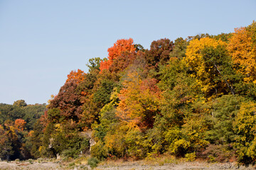 Obraz premium fall colors and blue sky outdoors in Iowa on an autumn day