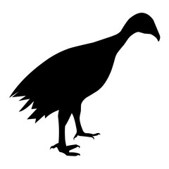 Vector silhouette of a turkey on a white background. Black little bird is good for poultry farm logo and poster