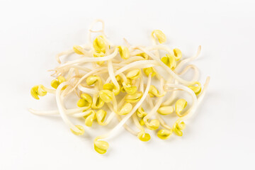 Soybean sprouts isolated on White Background