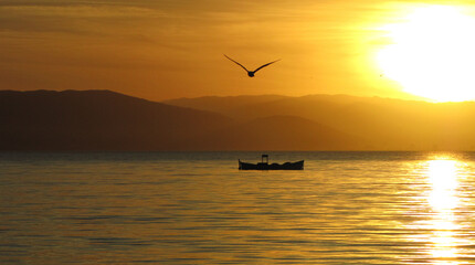 sunset over the sea on the beach with boat and bird flying - Florianópolis, Brazil