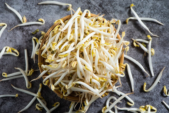 Raw White Organic mung bean sprouts on table