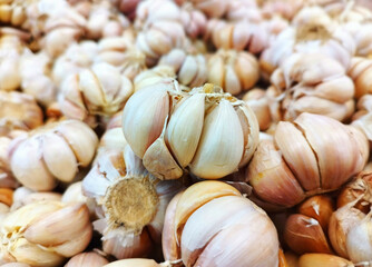 Garlic bulb on vegetable shelf in store Farmer's Market Organic.