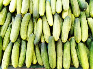 Cucumber on vegetable shelf in store Farmer's Market Organic. 