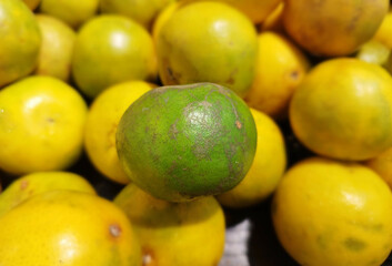 Organic Orange Tropical Fruits on an organic farm.