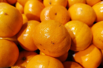 Mandarin Orange, Organic Citrus on Fruits shelf in store Farmer's Market Organic.