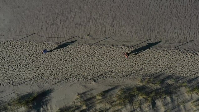 Tourists path in dead dunes reserve , Curonian spit national park, Lithuania, aerial view