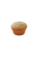 Plain muffins with white background