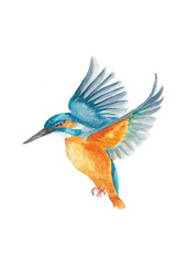 Kingfisher bird. Hand-drawn watercolor illustration. Turquoise and orange colors.