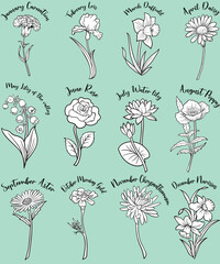 This collection of the floral vectors is perfect for adding that special touch to any event. Whether you're planning a baby's first birthday, or a romantic anniversary celebration.