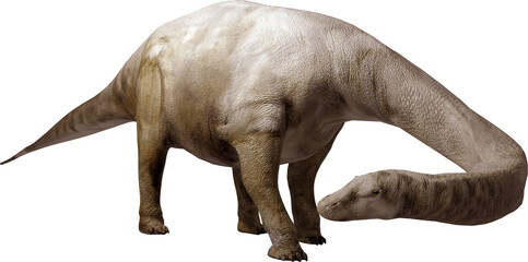 Brontosaurus on transparent background © auntspray