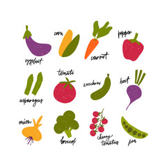 Vegetables flat vector illustration set. Cartoon agricultural product tomato, corn, zucchini, carrot, beans, eggplant, broccoli, pepper isolated collection. Autumn harvest. Organic healthy eco product