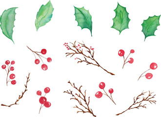 Christmas tree leaves and Christmas cherry watercolor isolated over white background - watercolor Christmas illustration decoration objects