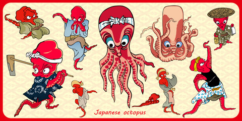 Japanese octopus © KIMASA