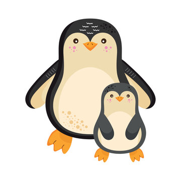 penguins birds family