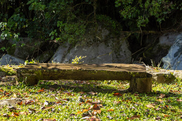 bench in the park, Handmade wooden chair in the forest