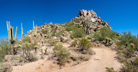A panoramic view from the Pinnacle Peak Park trail