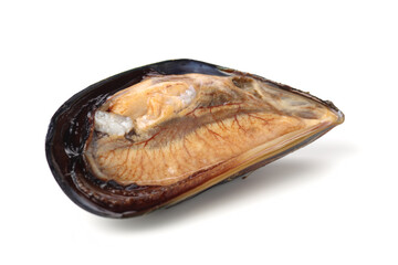 Fresh mussels on white background