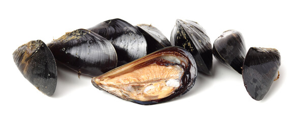 Fresh mussels on white background © Hongyan