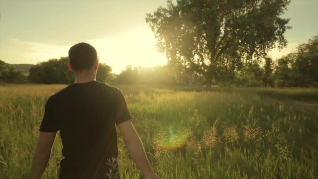 Person walking slowly and touching the grass with his hands in a field in sunlight
