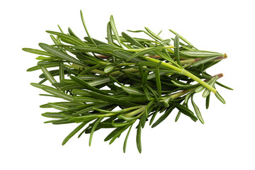 Rosemary leaf herbal is spices isolated on alpha background - obrazy, fototapety, plakaty